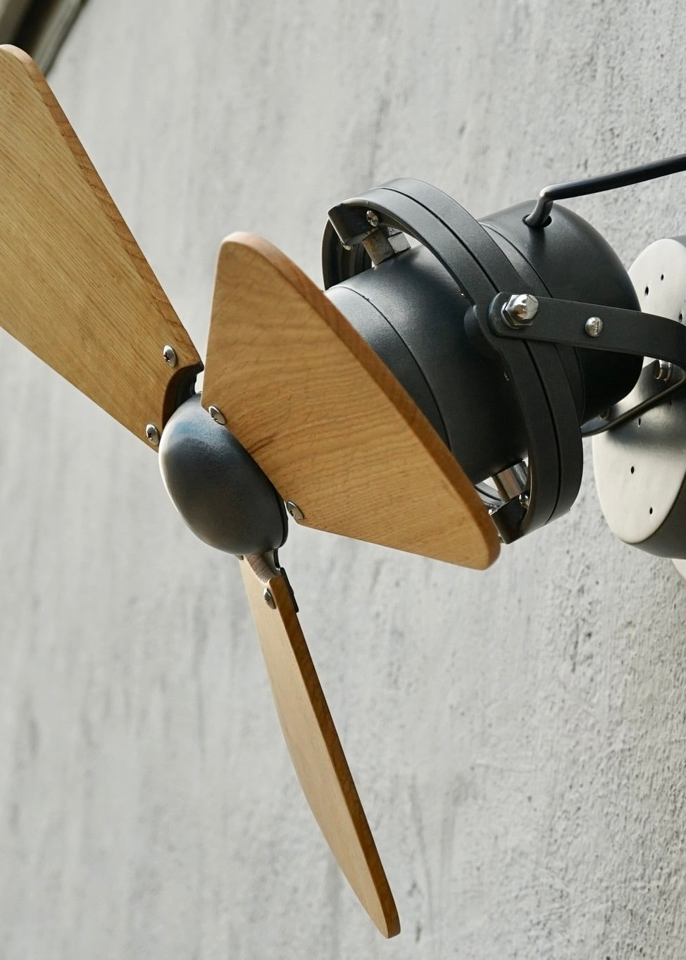 Wea Fans Ceiling fans - WhooFans – Whoo Whoo Whoo